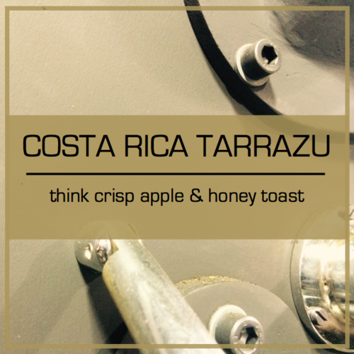 Congo Coffee