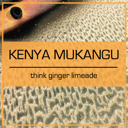 Congo Coffee